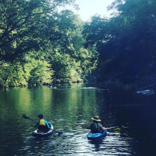 Two people kayaking on a serene river surrounded by lush green trees under a clear blue sky.