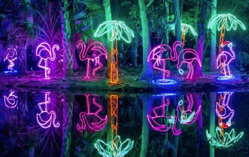 Colorful neon flamingos and palm trees reflected in water, surrounded by lush greenery at night.