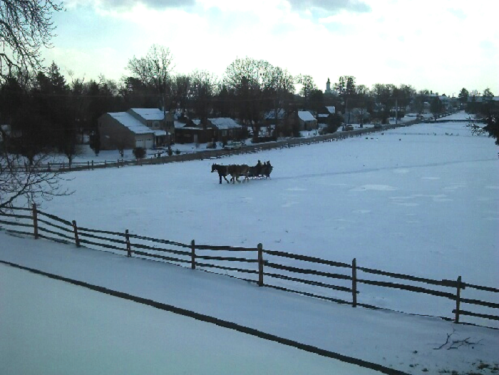 A snowy landscape with a group of horses walking across a field, surrounded by a wooden fence and distant houses.