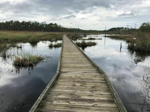 A wooden boardwalk stretches through a serene wetland, reflecting clouds and greenery in calm water.