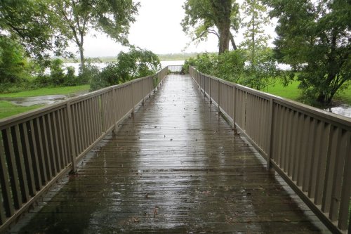A wooden walkway leads through a lush, green area towards a body of water, with rain-soaked planks reflecting the surroundings.