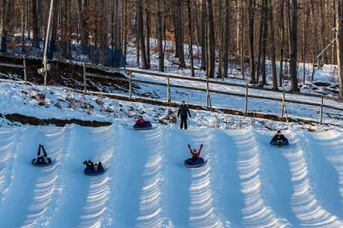 A group of people tubing down a snowy hill, surrounded by trees and a fence in a winter landscape.