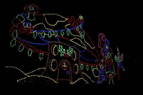 Colorful holiday lights outline a whimsical house and trees against a dark night sky.