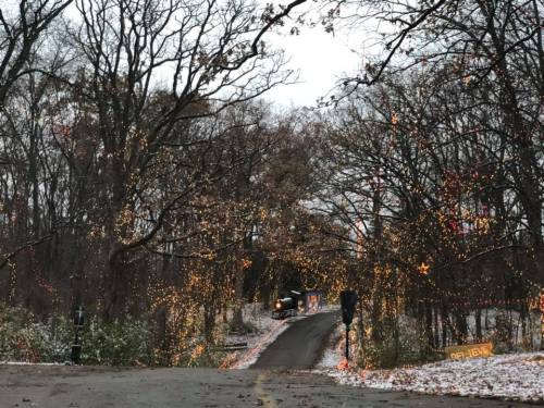A snowy path lined with trees adorned with colorful holiday lights, creating a festive atmosphere.