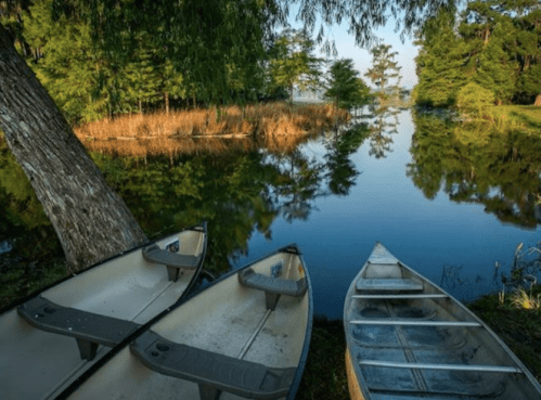 Three canoes are moored by a calm, reflective lake surrounded by lush greenery and trees.