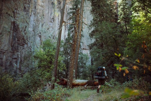 A hiker with a backpack walks through a lush forest, surrounded by tall trees and rocky cliffs in the background.