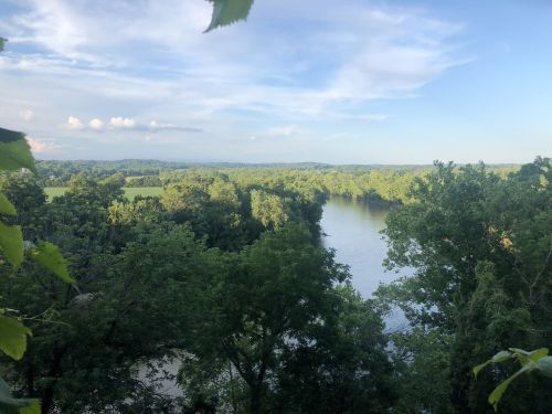 A serene river winds through lush green trees under a blue sky with scattered clouds.