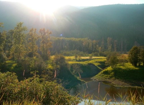 Sunlight filters through trees over a serene landscape with a river and lush greenery, set against distant mountains.