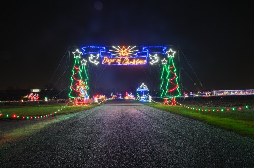 A festive light display featuring a "Days of Christmas" sign, decorated trees, and a colorful pathway at night.
