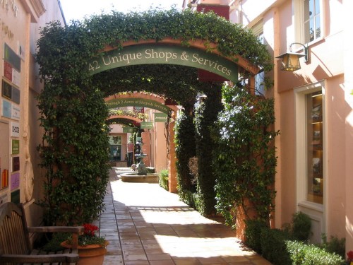 A charming walkway lined with greenery, featuring signs for unique shops and services.