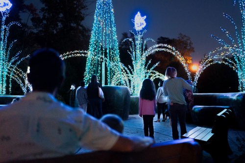 A group of people walks through a park illuminated by colorful lights at night, with trees and decorations glowing.