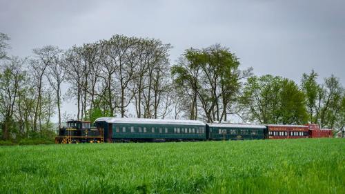 A vintage train with green and red cars travels through a lush green field under a cloudy sky.