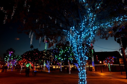 Colorful holiday lights adorn trees in a park at dusk, creating a festive atmosphere.