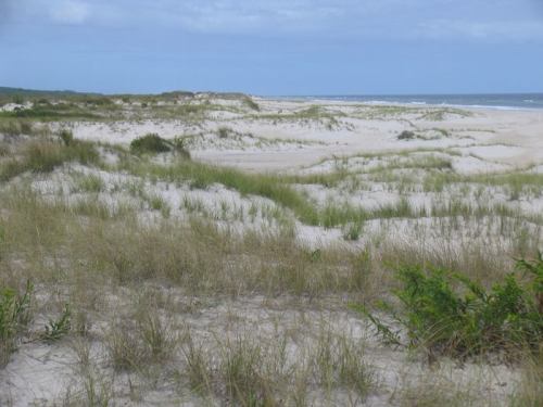 A serene beach landscape with sandy dunes, green grass, and a calm ocean under a cloudy sky.