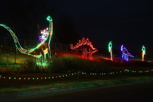 Colorful holiday lights display featuring dinosaur shapes, including a T-rex and a stegosaurus, against a dark night sky.