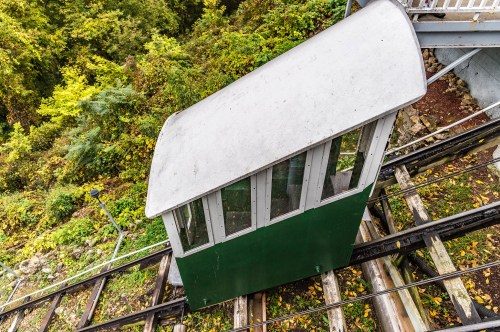 A green and white funicular car on tracks, surrounded by lush greenery and trees.