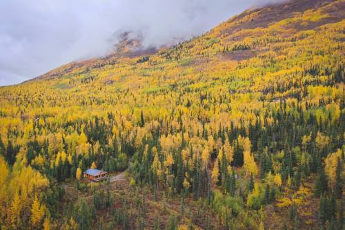 A cozy cabin nestled among vibrant autumn trees on a mountainside, with clouds hovering above.