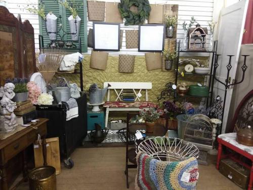 A cozy vintage display featuring plants, decor, and furniture in a charming shop setting.