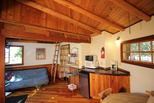 Cozy wooden interior of a cabin with a sofa, kitchenette, and a ladder leading to a loft. Warm, inviting atmosphere.