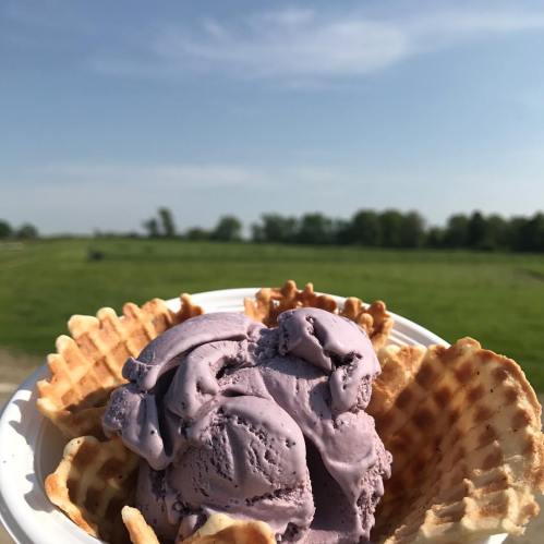 A scoop of purple ice cream in a waffle cone bowl, set against a sunny sky and green fields.