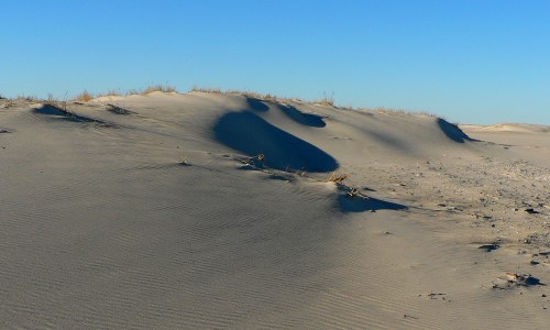 A sandy dune with gentle curves and sparse grass under a clear blue sky.