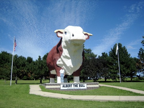 A large statue of a bull named Albert stands on a grassy area, with a person beside it and trees in the background.
