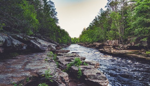 A serene river flows through rocky terrain, surrounded by lush green trees under a clear sky.