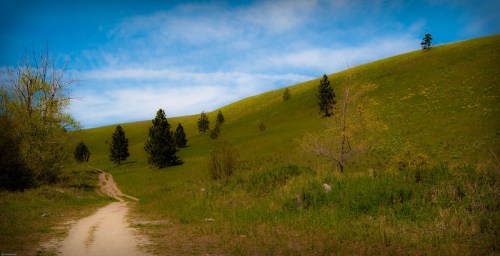 A winding dirt path leads through lush green hills dotted with trees under a bright blue sky.