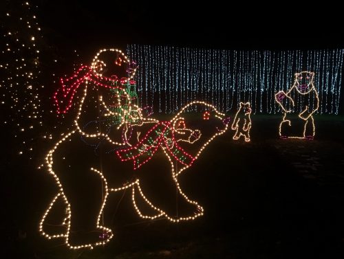 Colorful holiday lights depict bears in festive attire, with one riding another and a third bear holding a gift.