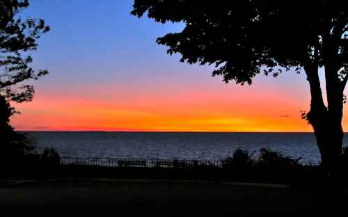 A vibrant sunset over the ocean, with silhouettes of trees framing the colorful sky.