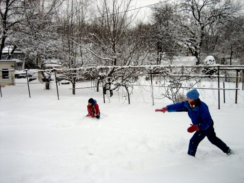 Two children play in deep snow in a wintery backyard, surrounded by trees and a fence.