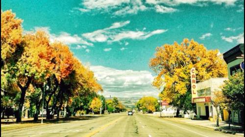 A scenic street lined with colorful autumn trees and a vintage sign for "Carol" on a clear day.