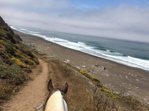 View from horseback along a sandy path overlooking a beach with waves and cliffs under a cloudy sky.