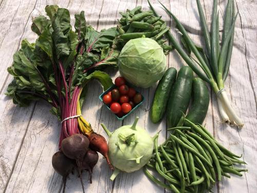 A variety of fresh vegetables including beets, cabbage, cucumbers, green beans, and cherry tomatoes on a wooden surface.