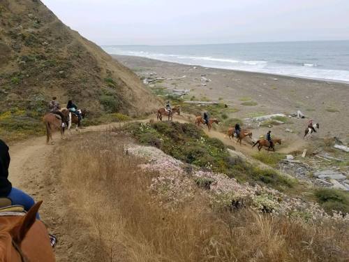 A group of horseback riders trails along a sandy beach with waves and cliffs in the background.