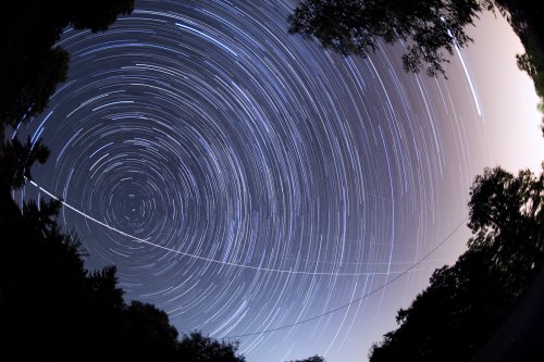 A starry night sky with circular star trails and a bright streak, framed by tree silhouettes.
