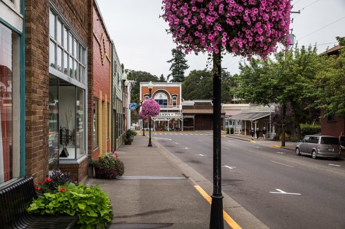 A charming street lined with shops, colorful flower baskets, and trees, creating a vibrant small-town atmosphere.