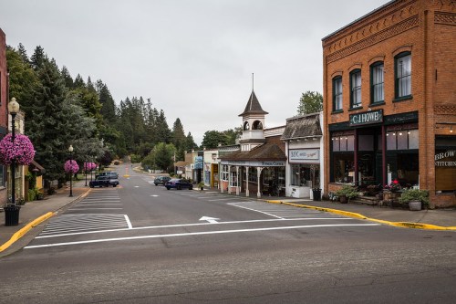 A quiet small town street lined with shops, trees, and hanging flower baskets under a cloudy sky.
