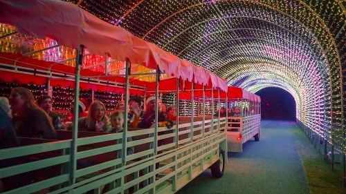 A festive train ride through a colorful, illuminated tunnel of lights, with excited passengers enjoying the experience.
