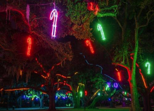 Colorful neon candy cane decorations hang from trees, illuminated in vibrant green, red, and blue lights at night.