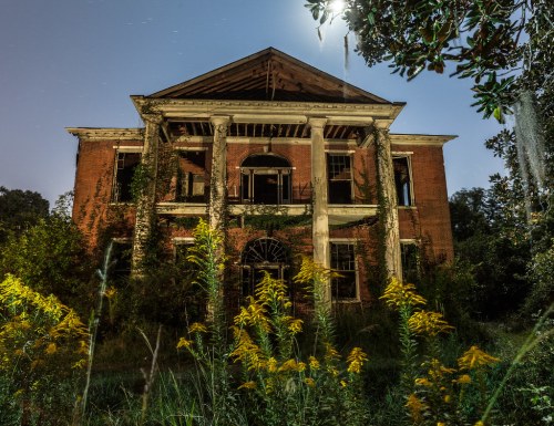 Abandoned brick building with overgrown vegetation, illuminated by moonlight, set against a night sky.