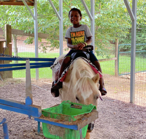 A smiling child sits on a white pony inside a barn, wearing a gray shirt and enjoying a ride.