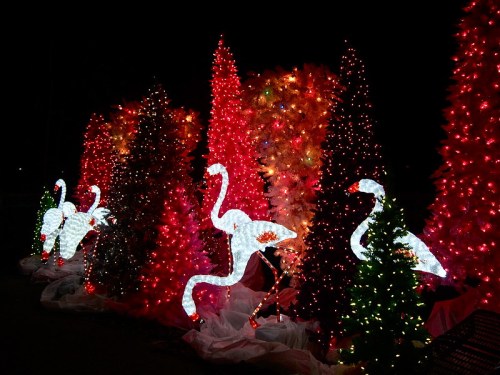 Colorful illuminated trees and glowing flamingo decorations create a festive scene at night.