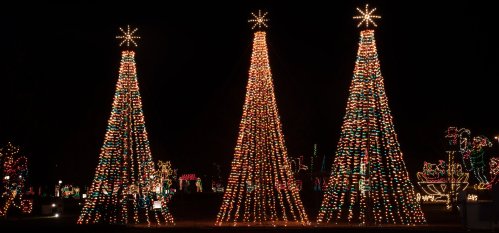 Three large, brightly lit Christmas trees adorned with colorful lights, set against a dark night sky.