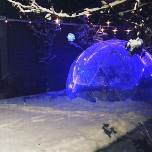 A glowing blue igloo-shaped structure in a snowy yard, surrounded by twinkling lights and trees.