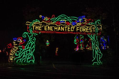 Colorful illuminated archway reading "The Enchanted Forest" surrounded by festive lights in a nighttime setting.