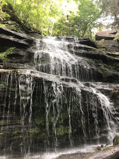 A serene waterfall cascading down moss-covered rocks, surrounded by lush green trees.