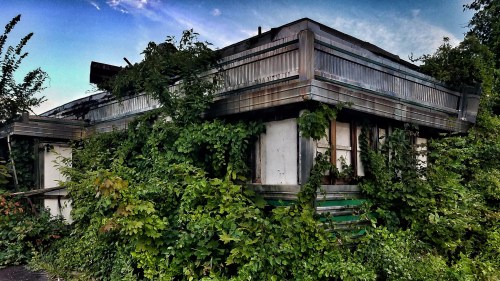 Abandoned building overgrown with lush green vines and plants, under a clear blue sky.