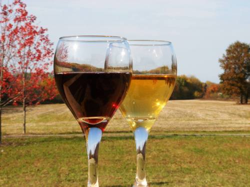 Two wine glasses, one filled with red wine and the other with white, set against a scenic autumn landscape.