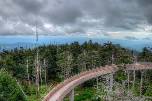 A winding walkway through lush green trees, with a communication tower in the distance under a cloudy sky.